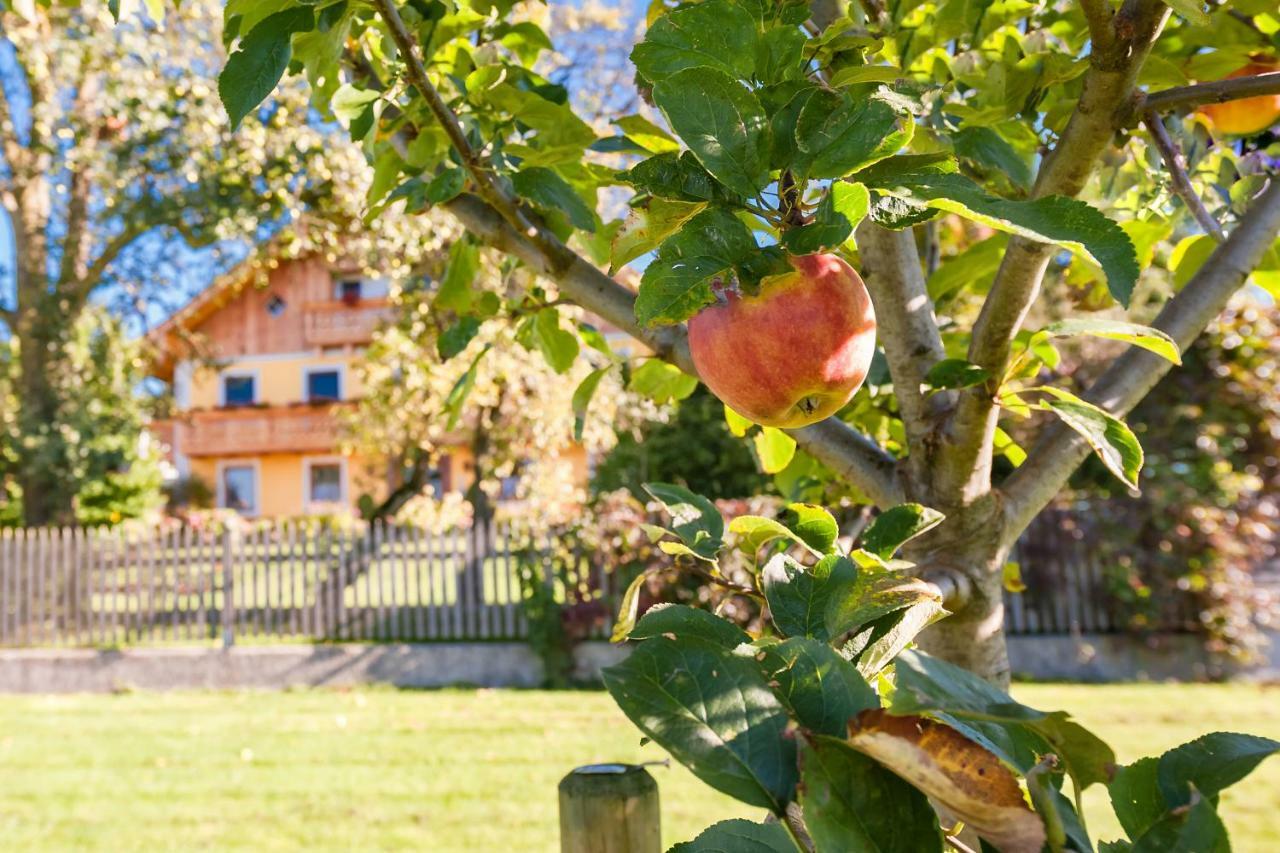 Girlinggut Schlafen Starten Salzburg Elixhausen Εξωτερικό φωτογραφία